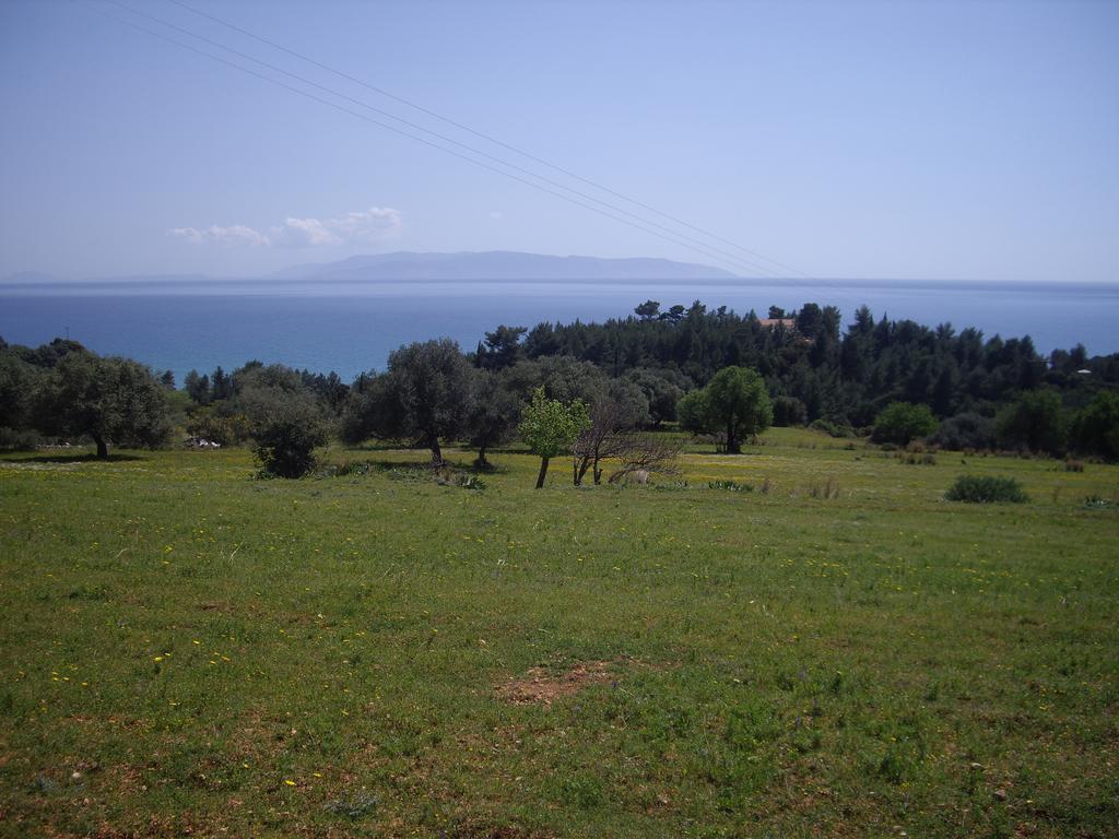 Apsedes