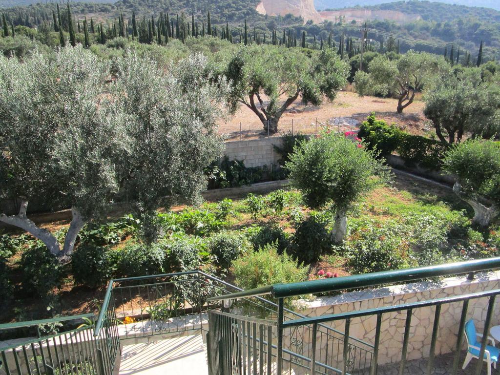 Apsedes Apartment Trapezaki (Kefalonia)