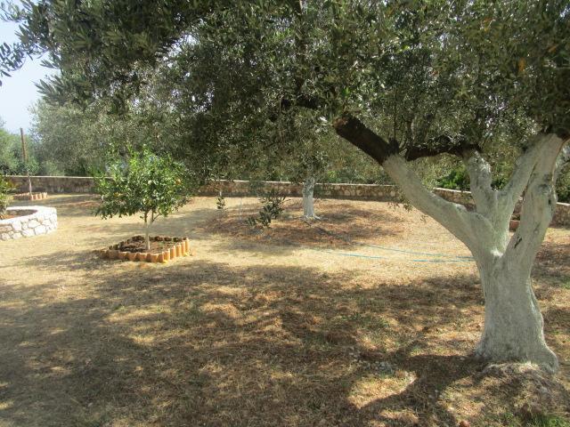 Apartment Apsedes Trapezaki (Kefalonia)